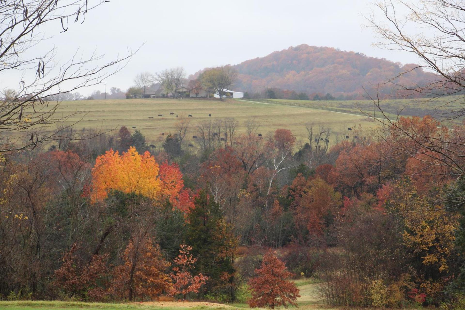 Cedar Creek photo 22