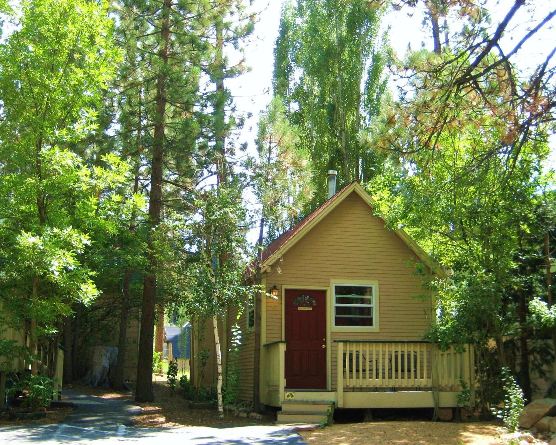 Sleepy Forest Cottages photo 22