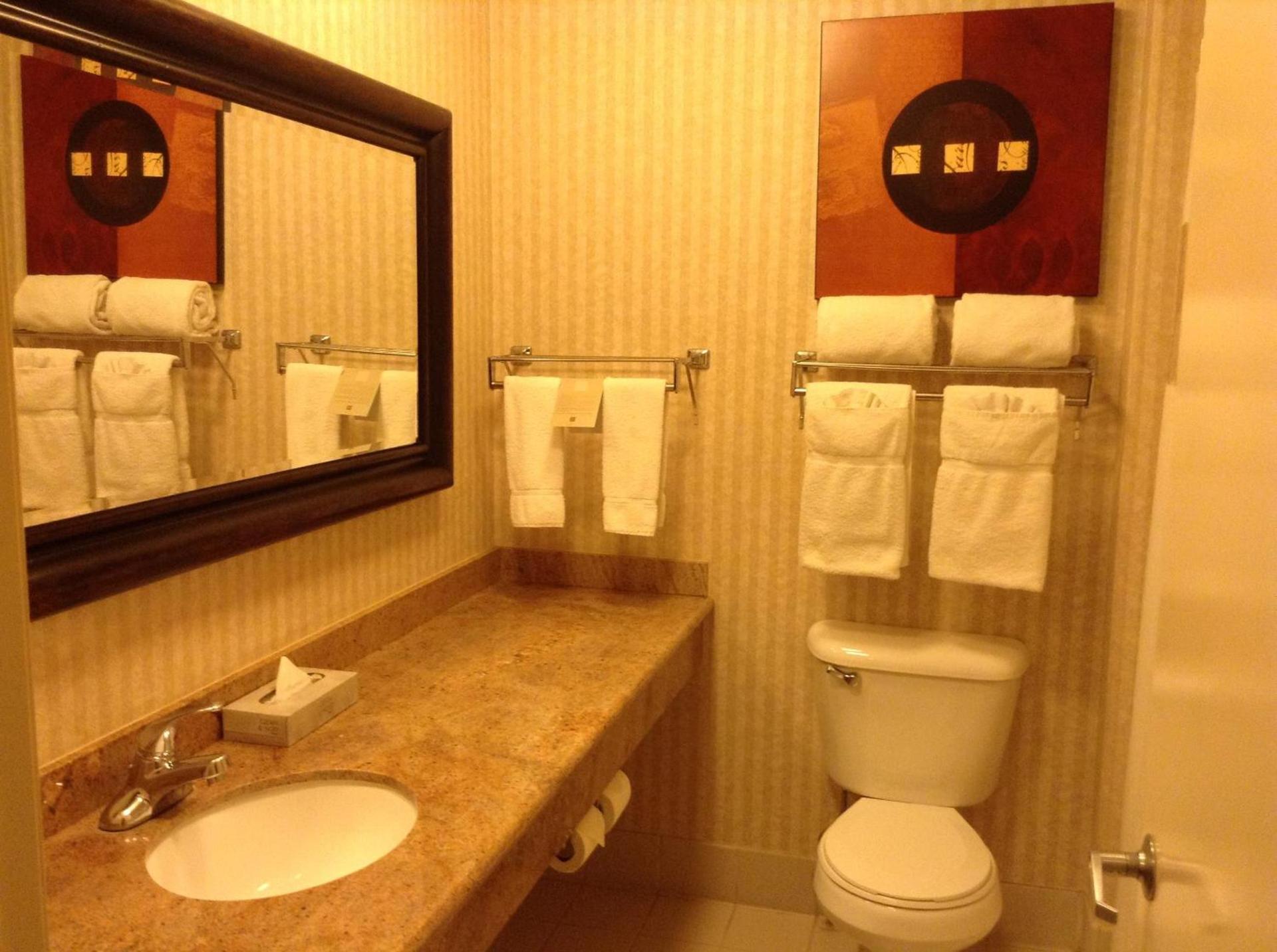 Borrego Springs Resort photo 27