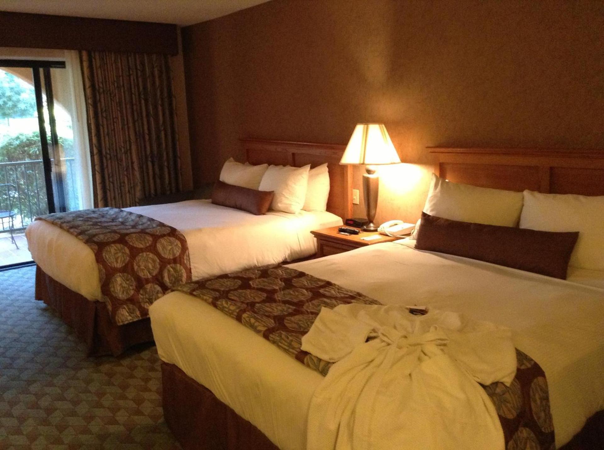 Borrego Springs Resort photo 30