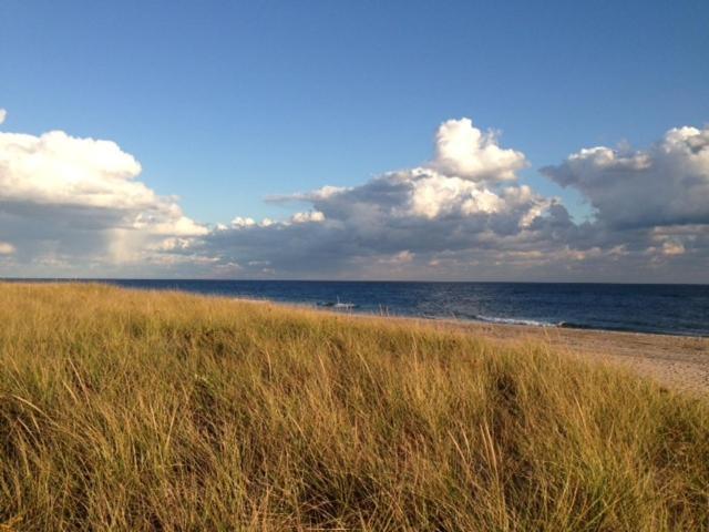 Ocean Vista Resort photo 29