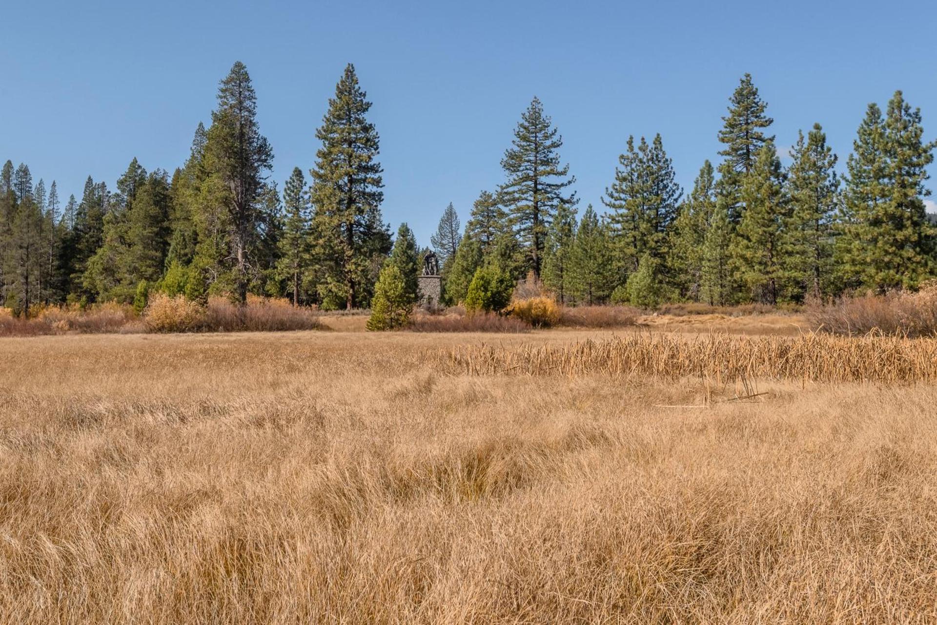 Truckee Donner Lodge photo 26