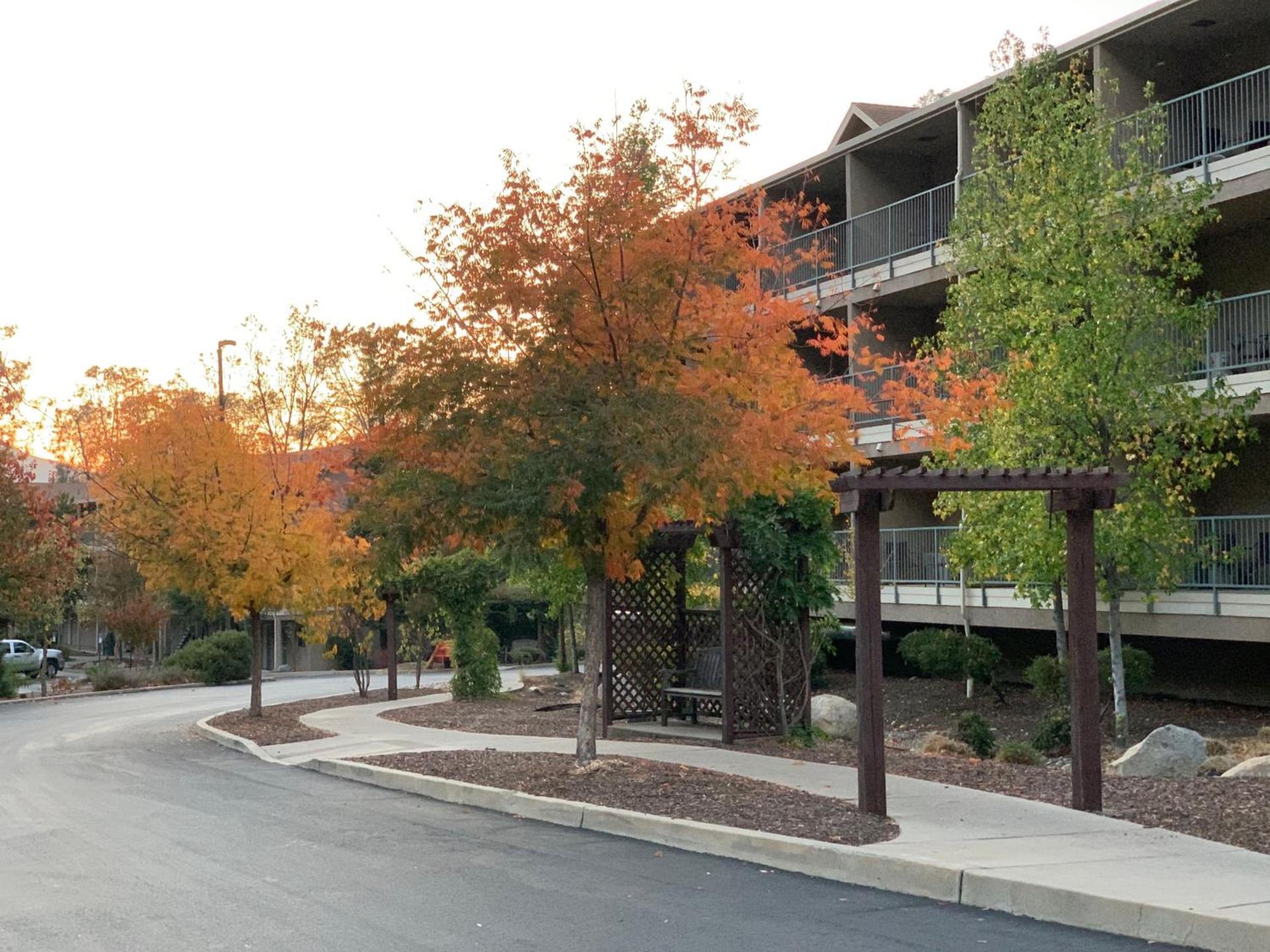 Yosemite View Lodge photo 40