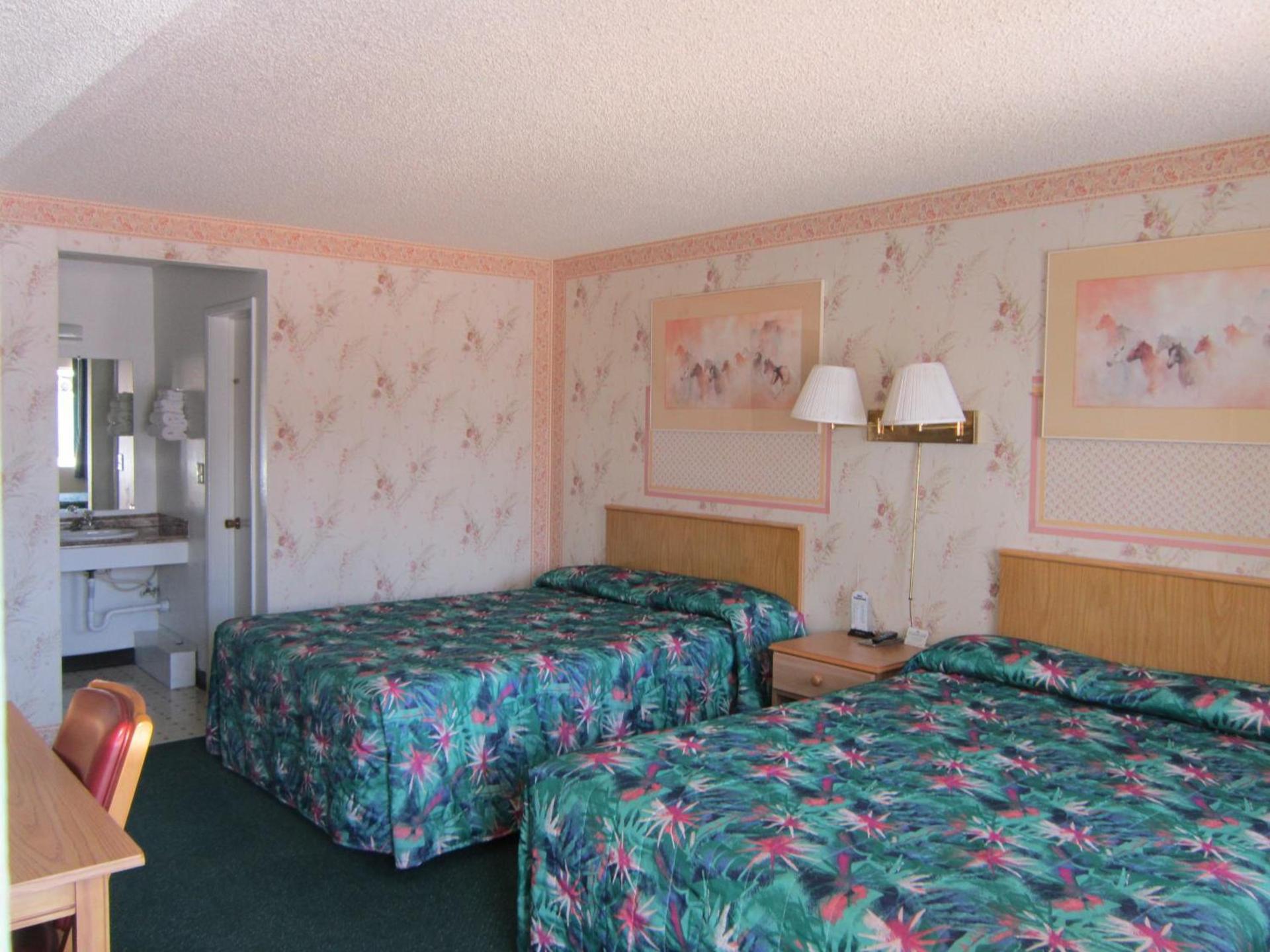 Motel 8 Willcox photo 12