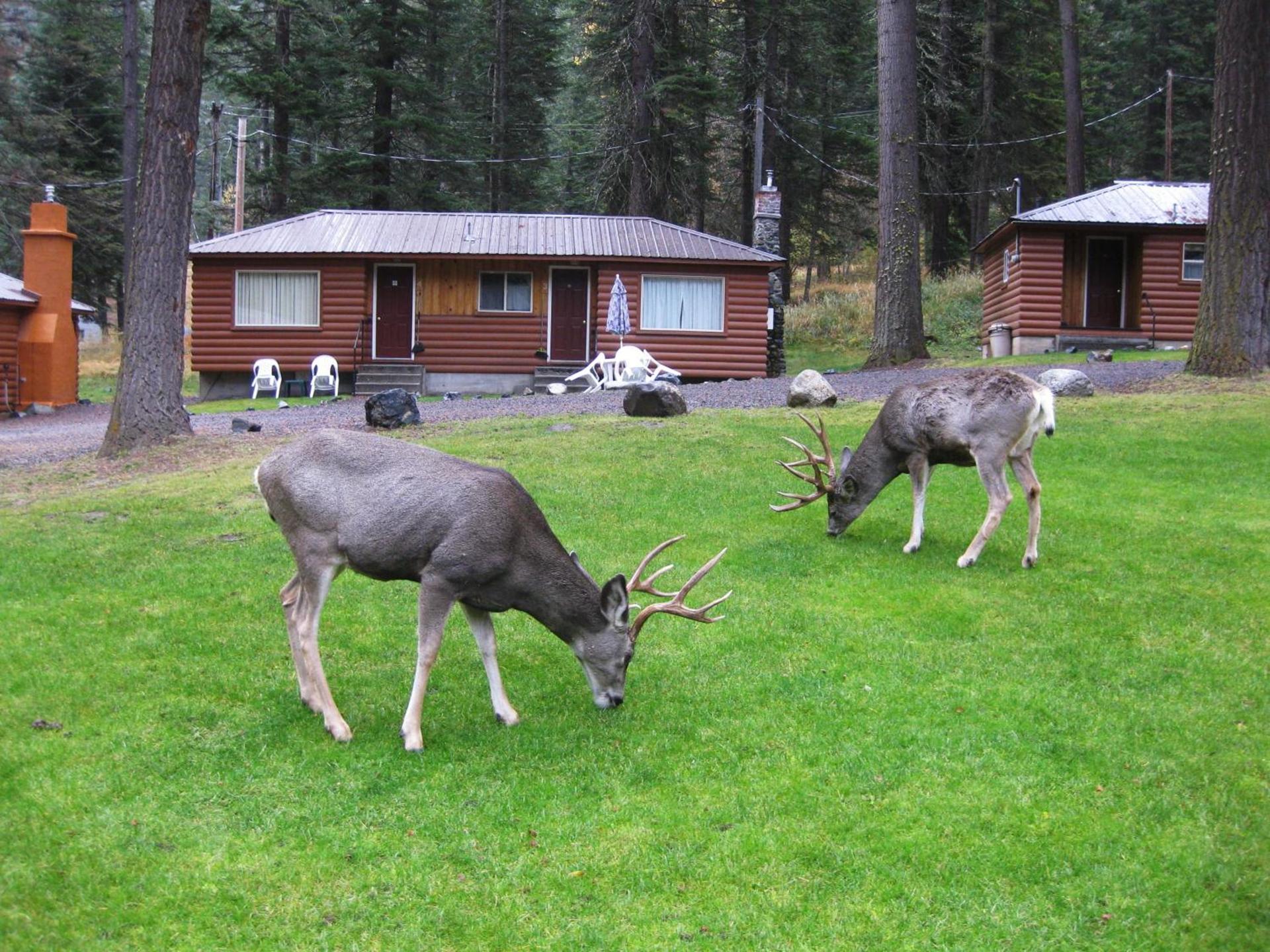 Eagle Cap Chalets photo 92