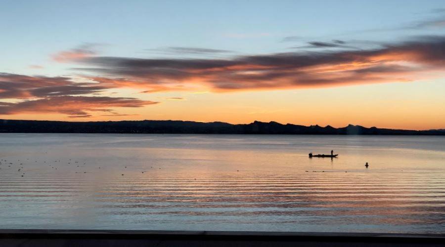 Havasu Landing Resort and Casino photo 6