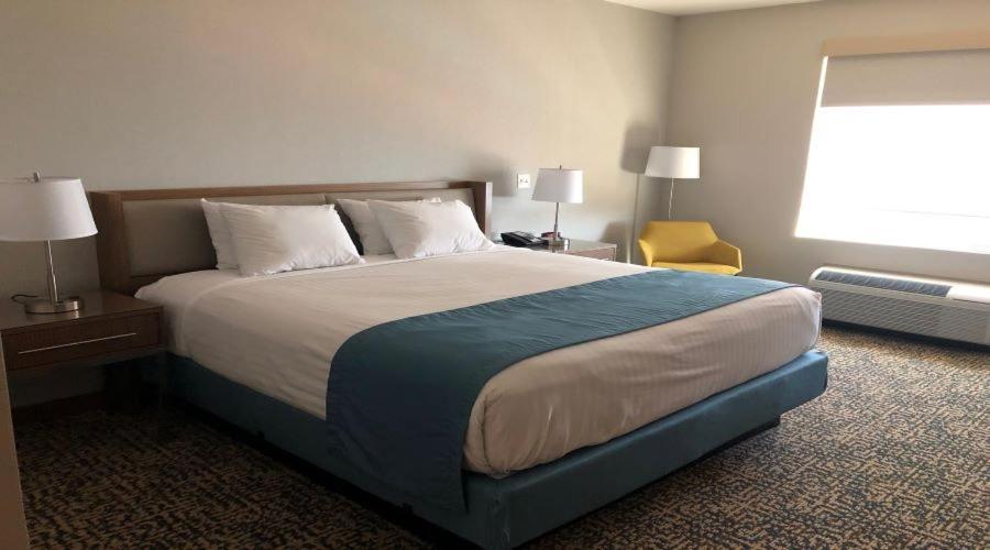 Havasu Landing Resort and Casino photo 22