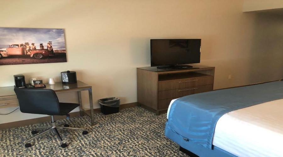 Havasu Landing Resort and Casino photo 21