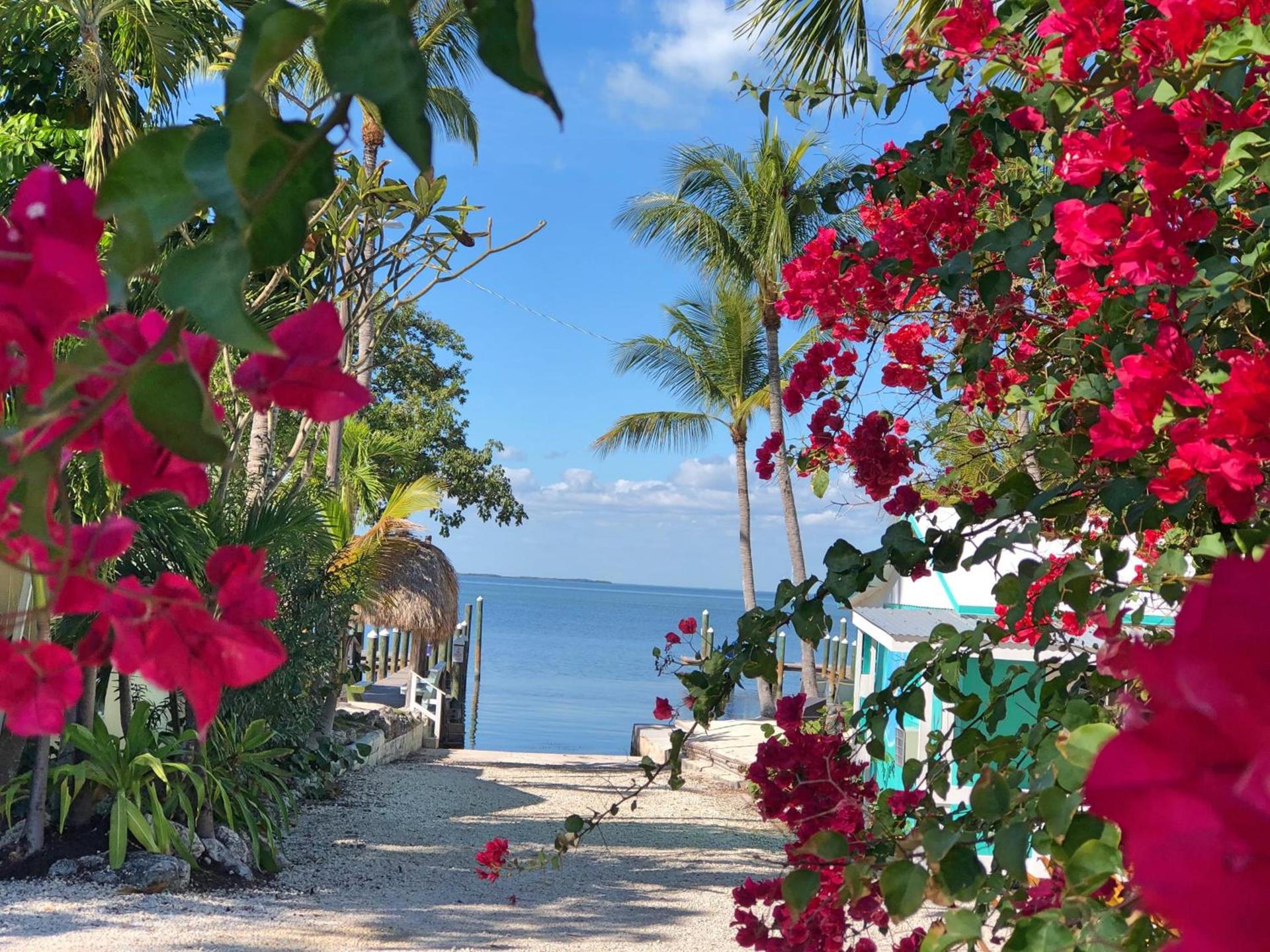 The Pelican Key Largo Cottages photo 100