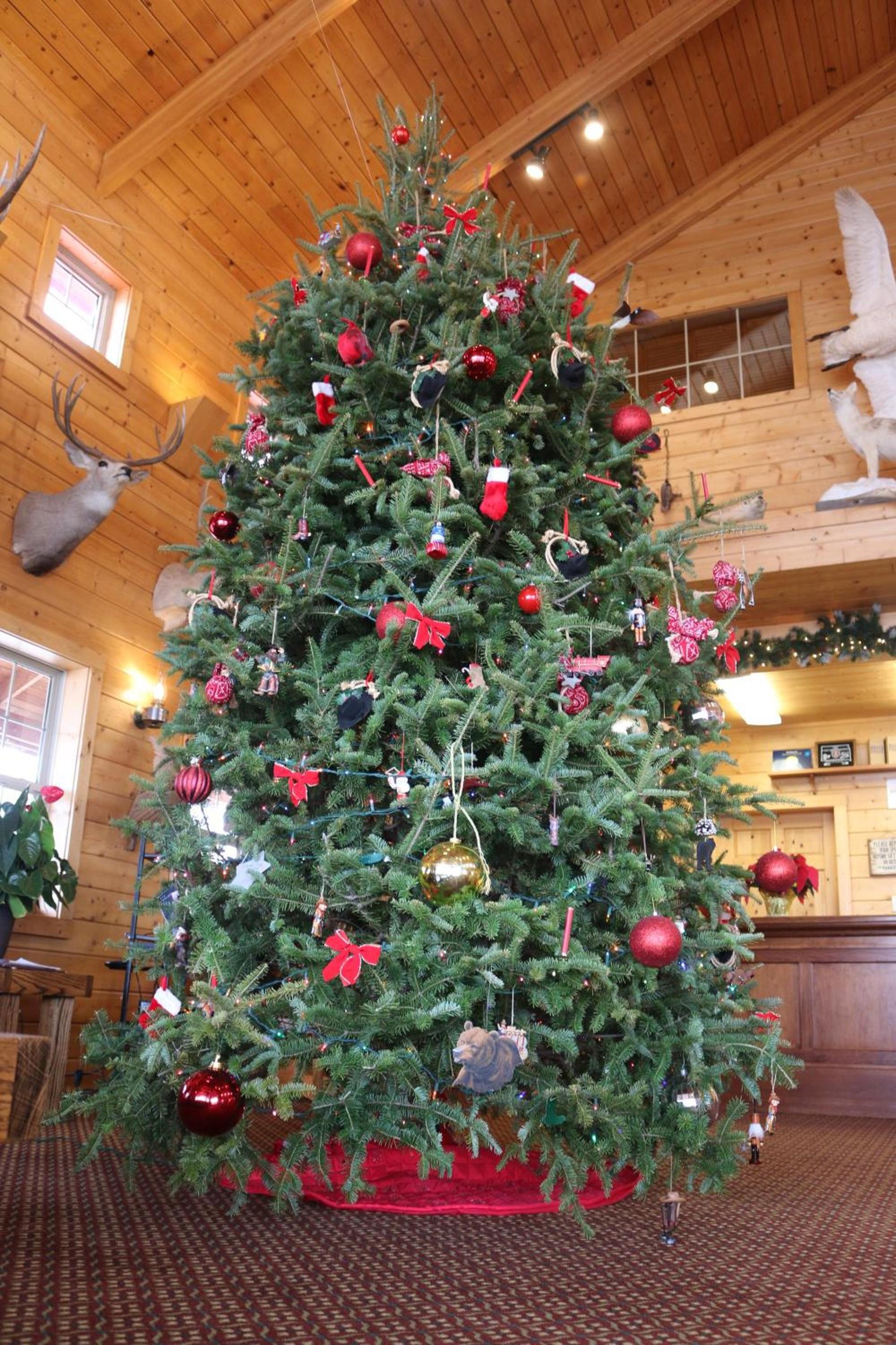 Range Country Lodging photo 6