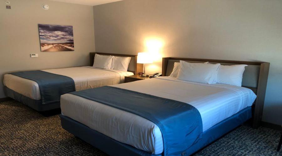 Havasu Landing Resort and Casino photo 20