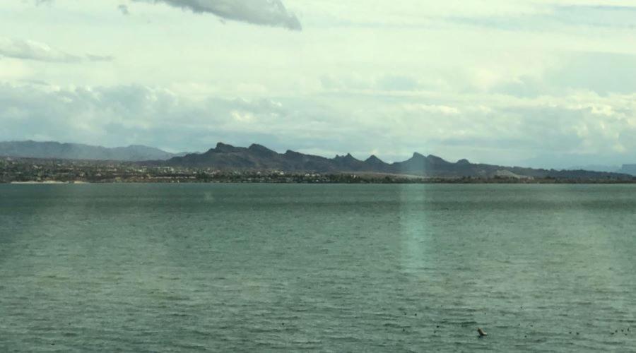 Havasu Landing Resort and Casino photo 23
