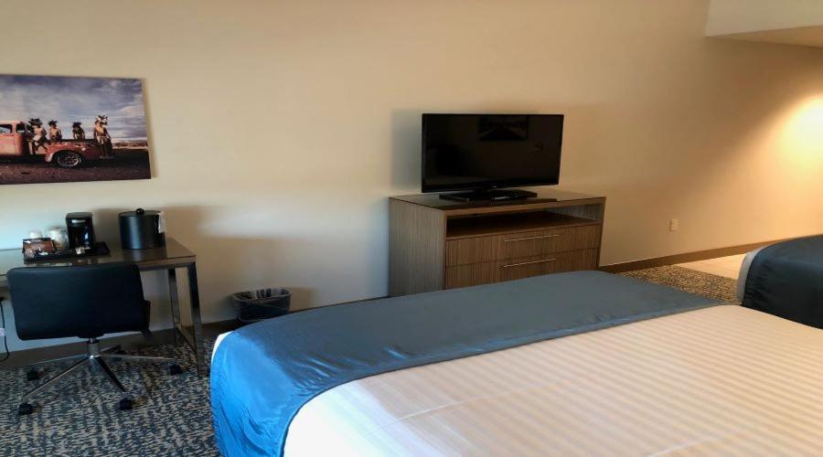 Havasu Landing Resort and Casino photo 19
