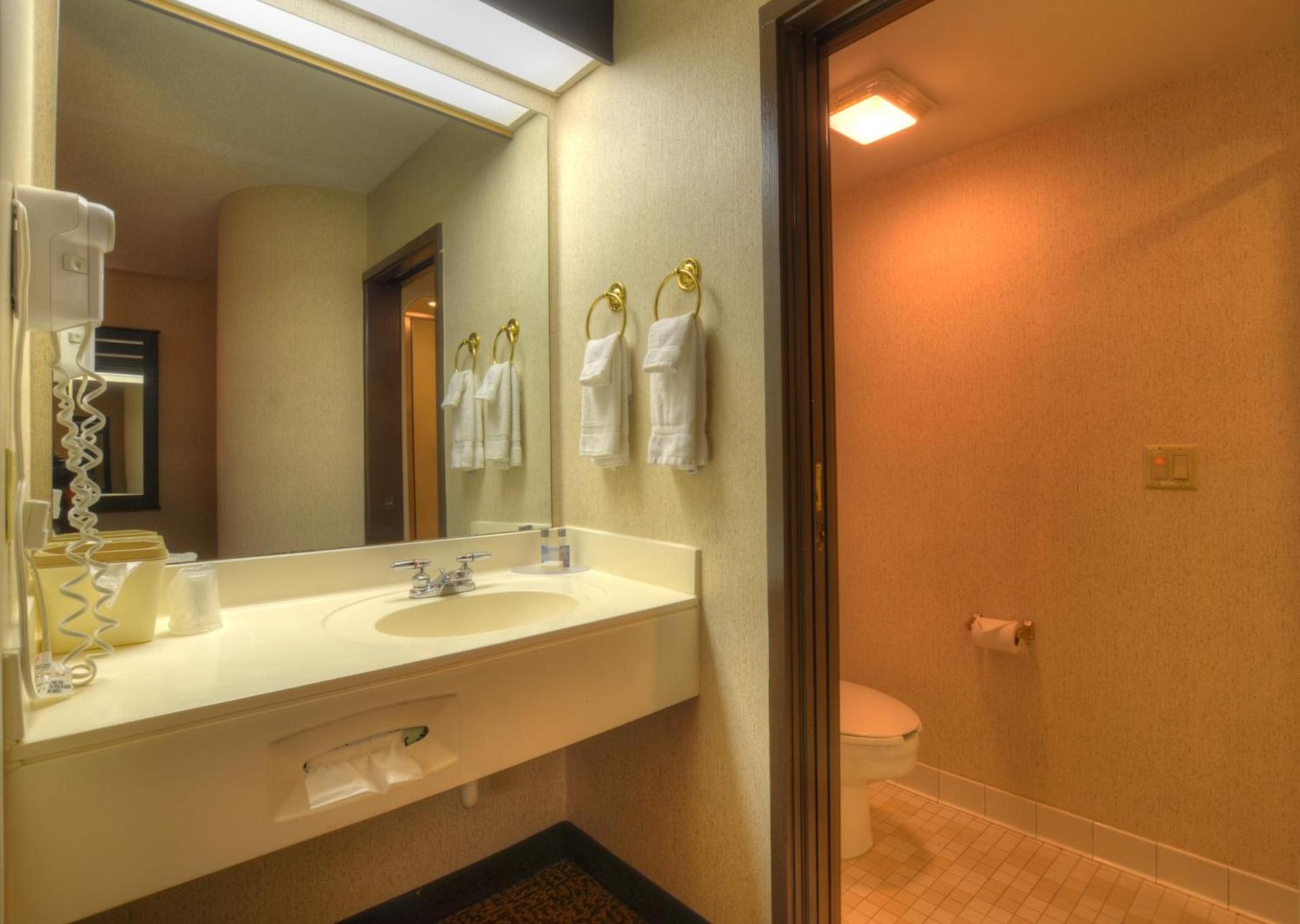 Smoky Mountain Inn & Suites photo 29