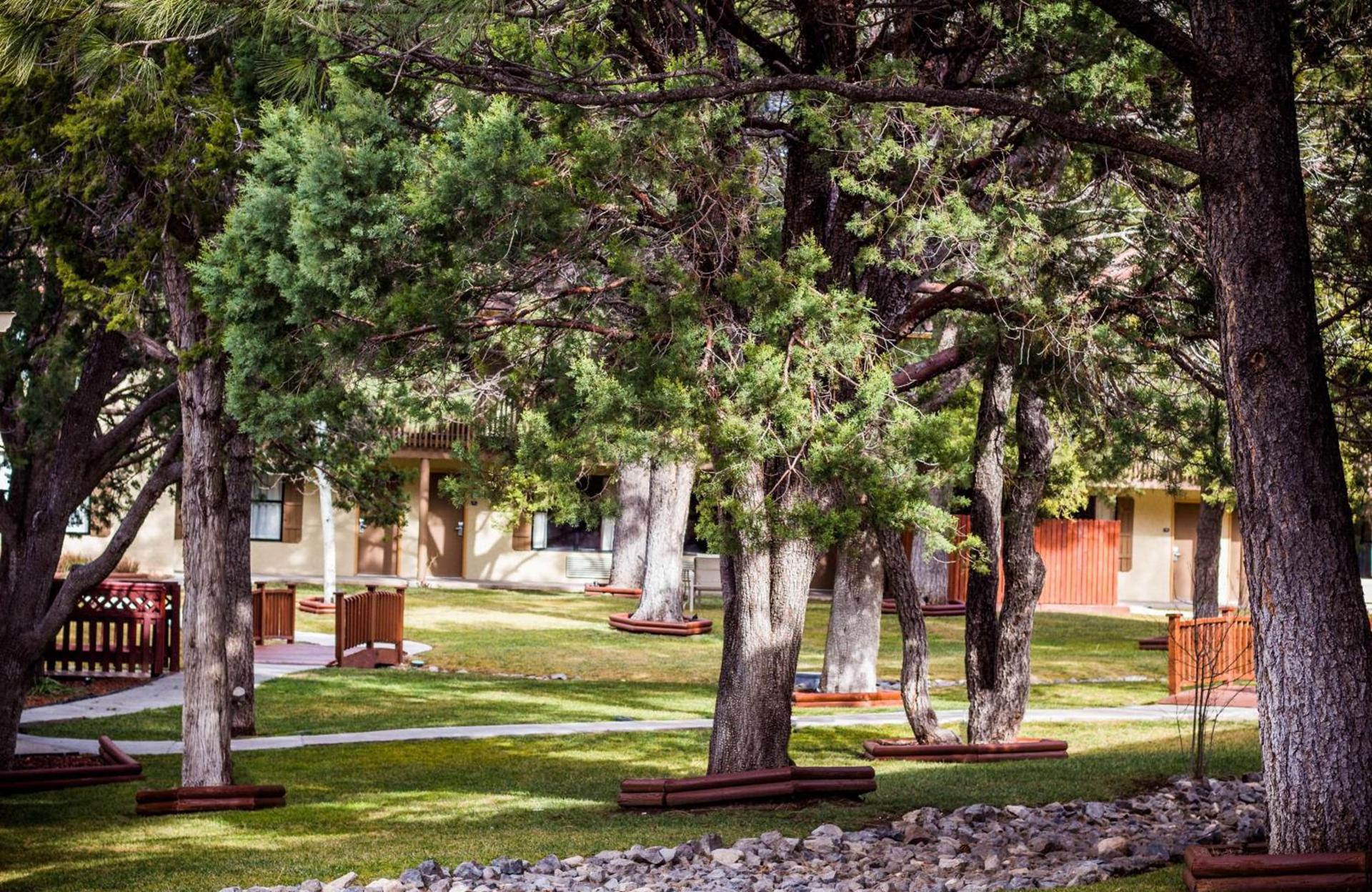 Best Western Pine Springs Inn photo 21