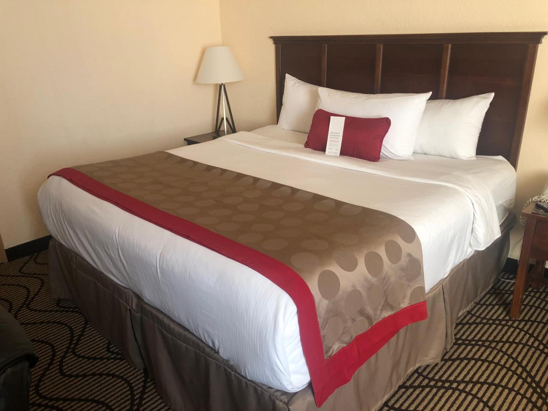 Ramada by Wyndham Birmingham Airport photo 21
