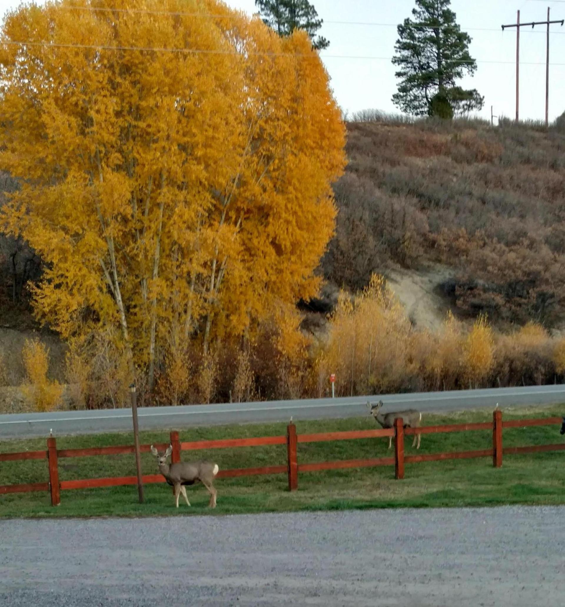 Chama River Bend Lodge photo 27