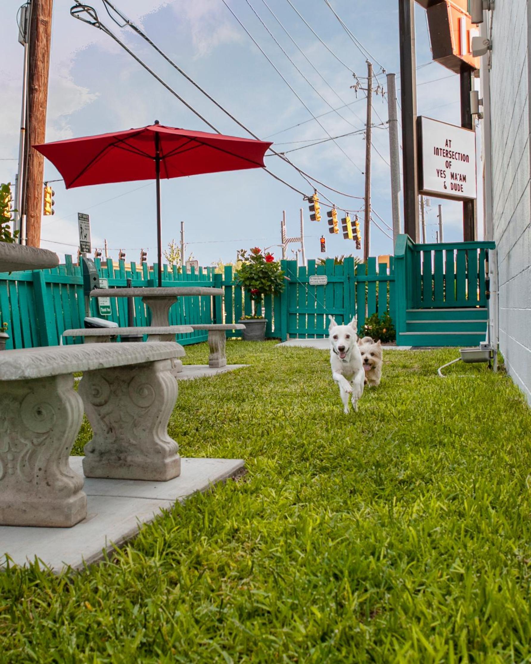 The Thunderbird Inn photo 24