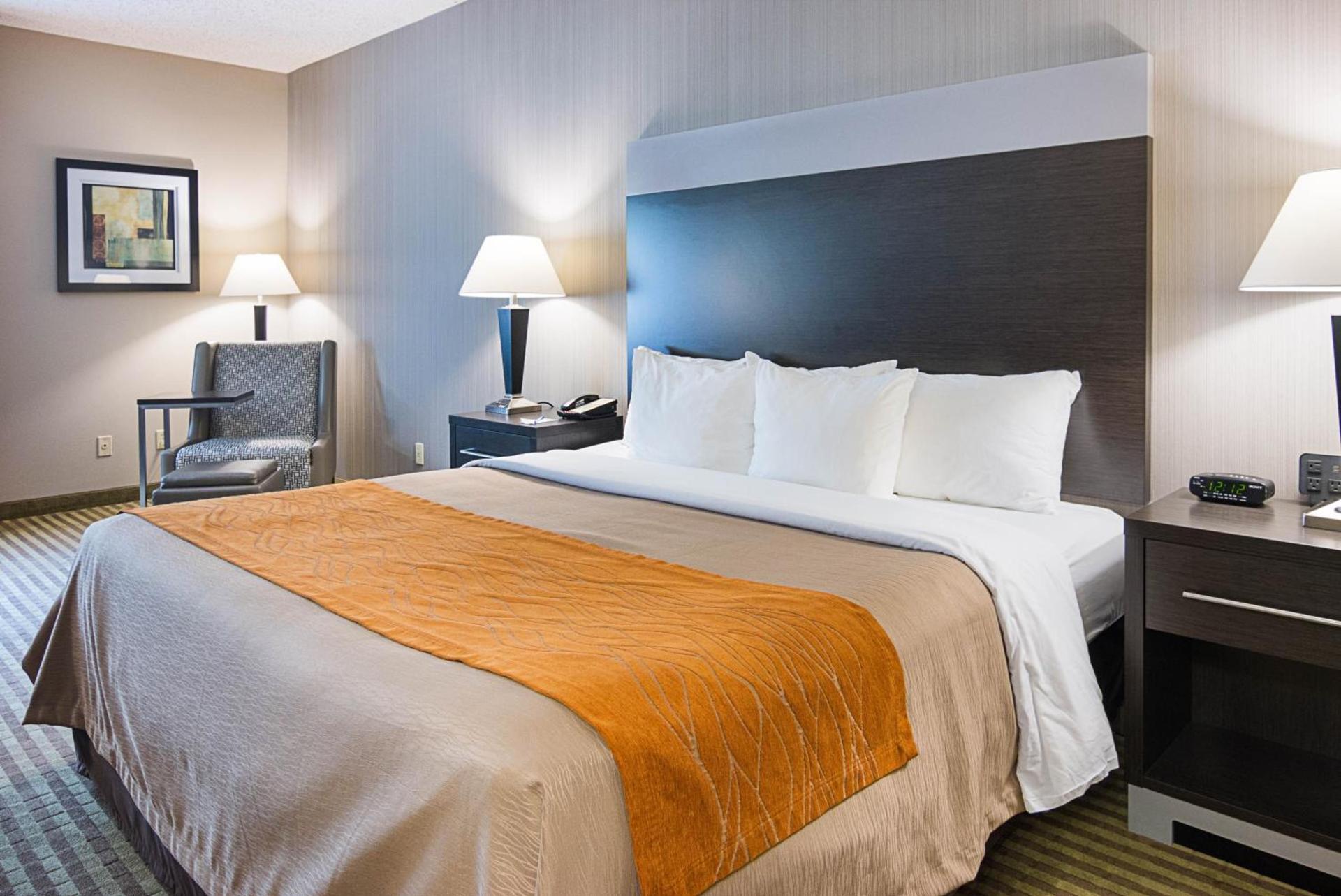 Comfort Inn Camden photo 6