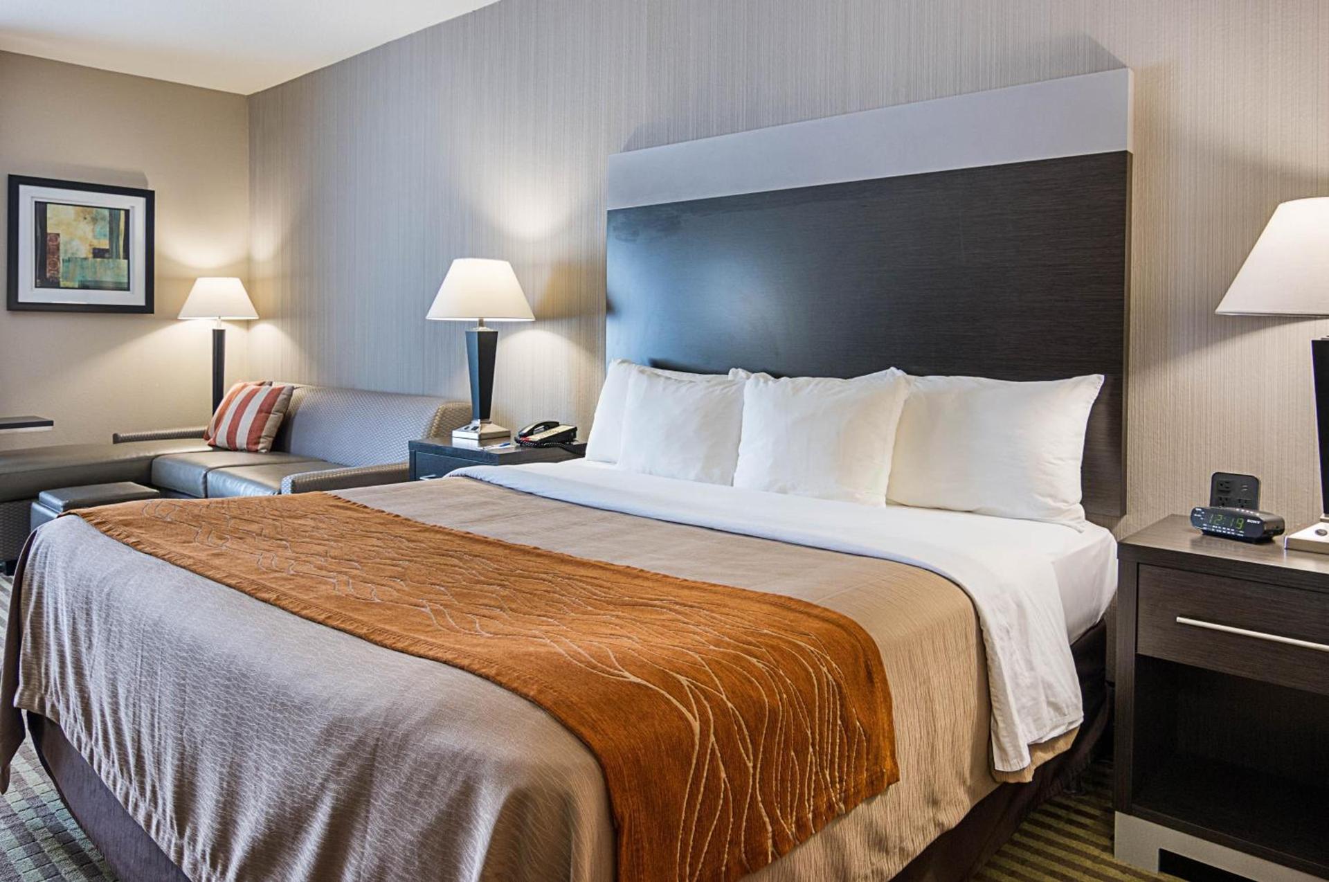 Comfort Inn Camden photo 18
