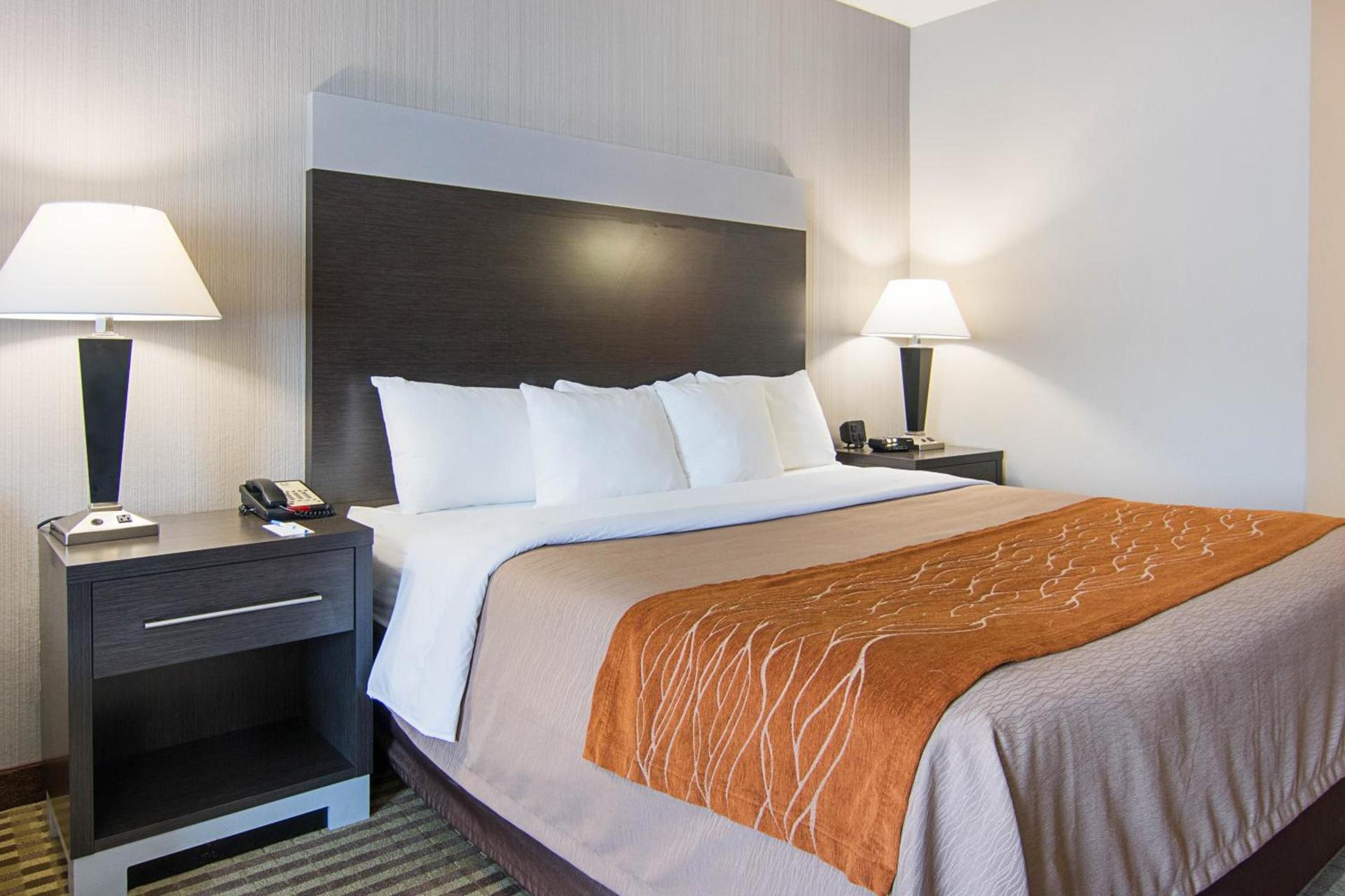 Comfort Inn Camden photo 17