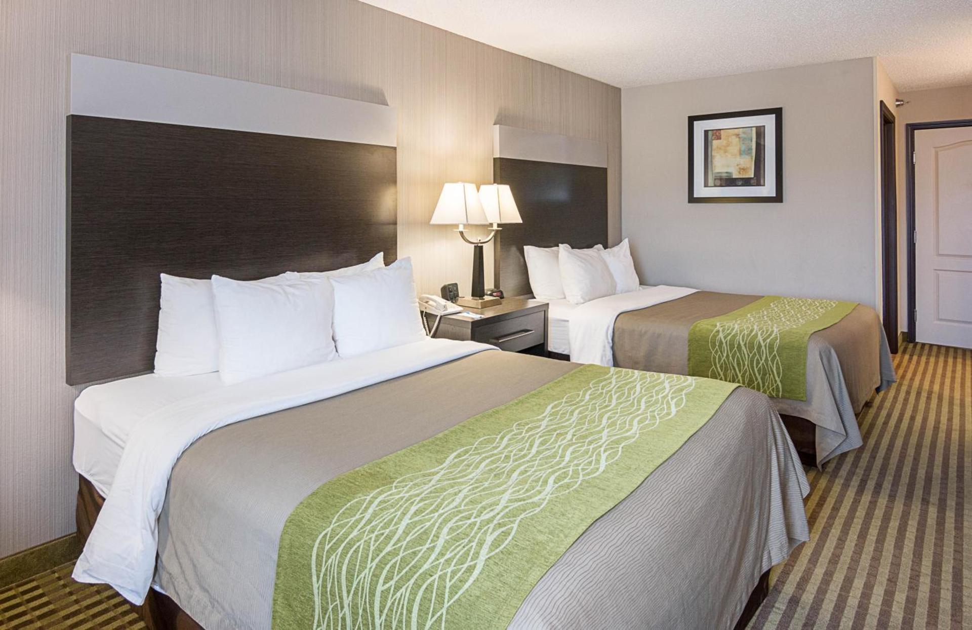 Comfort Inn Camden photo 8