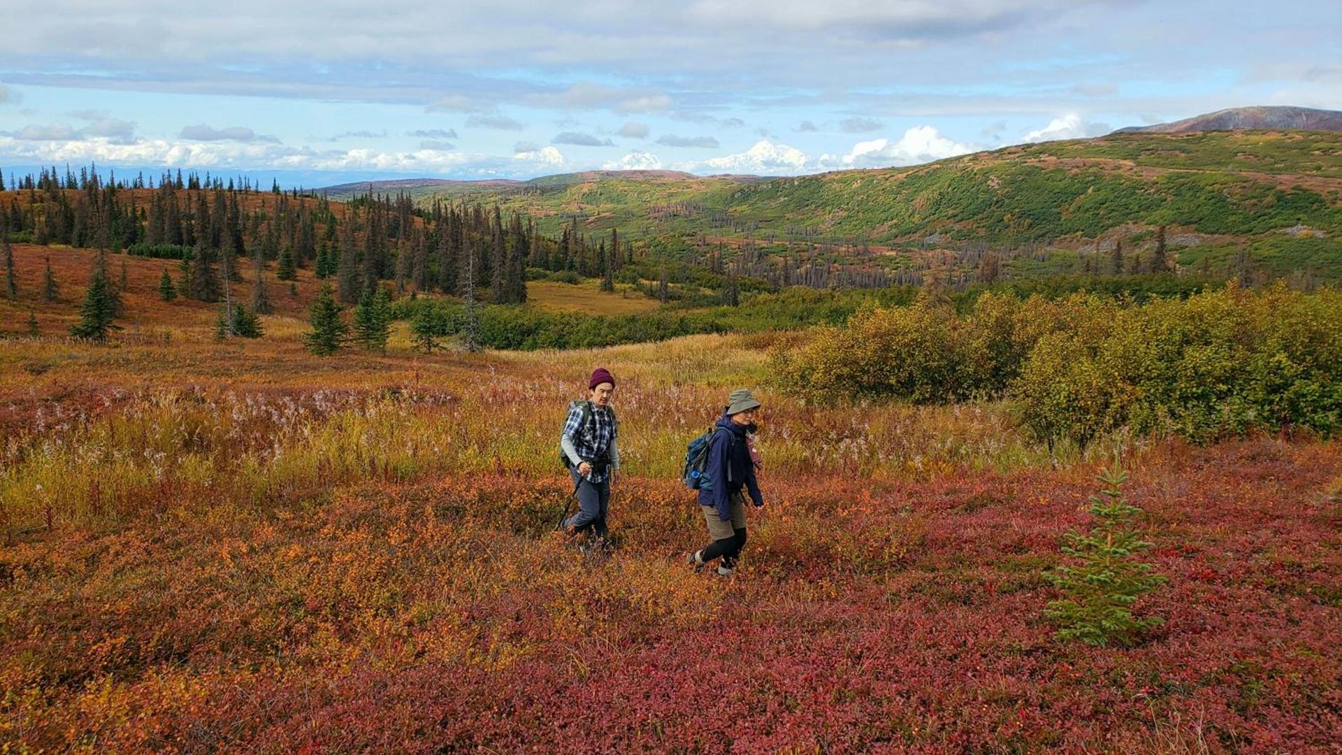 Caribou Lodge Alaska photo 37