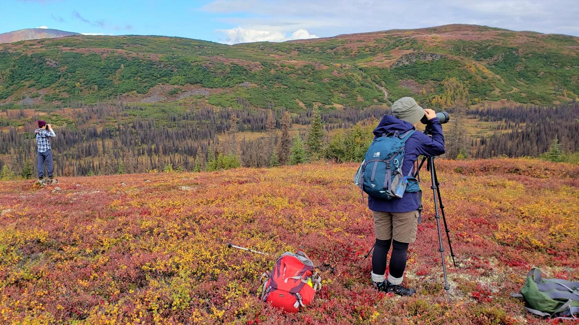 Caribou Lodge Alaska photo 34