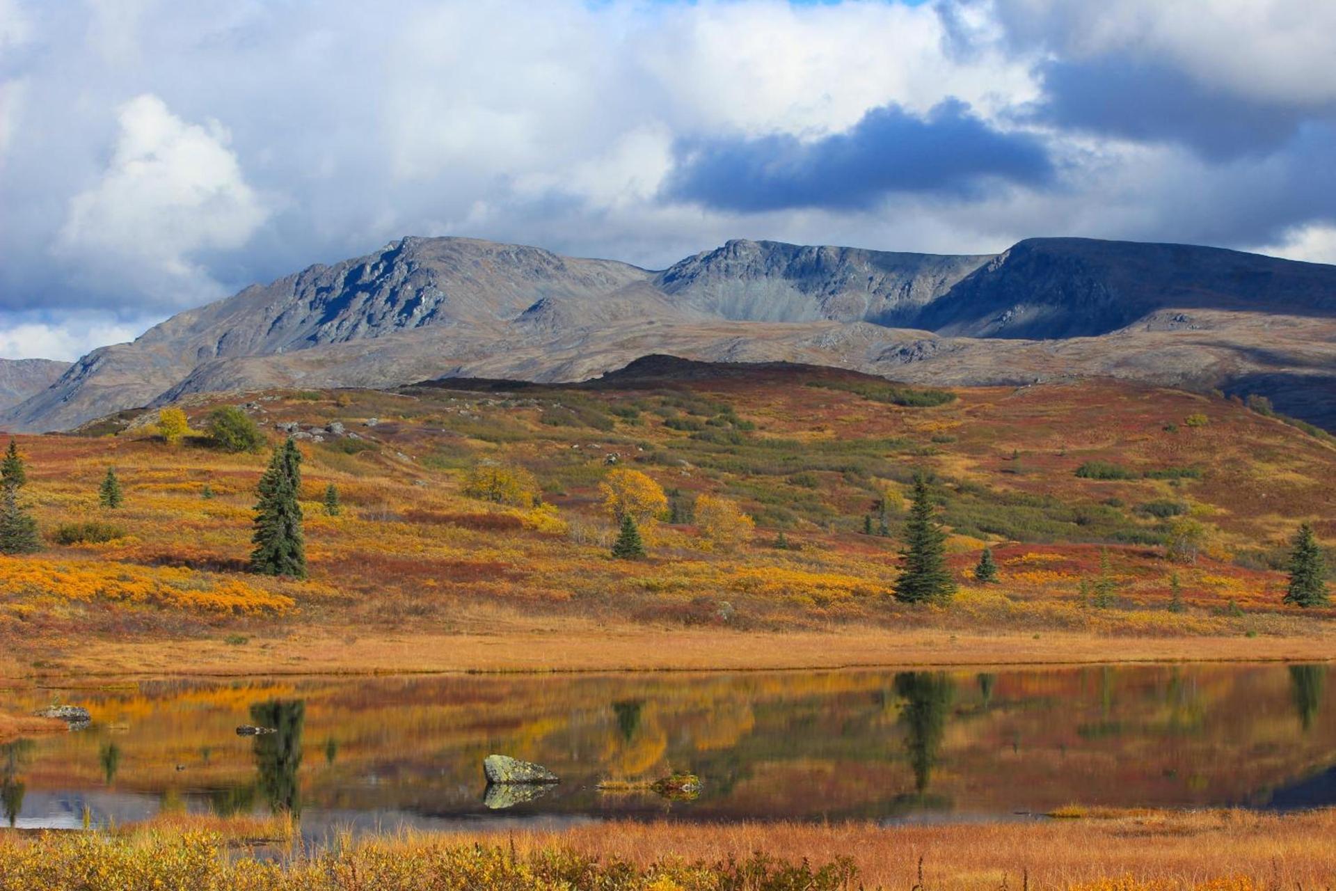 Caribou Lodge Alaska photo 32