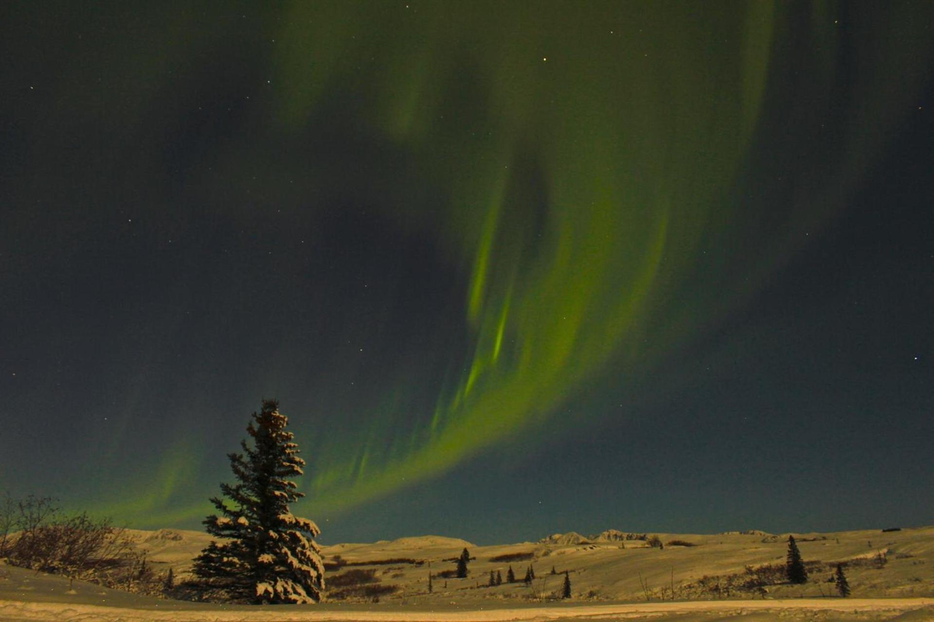 Caribou Lodge Alaska photo 21
