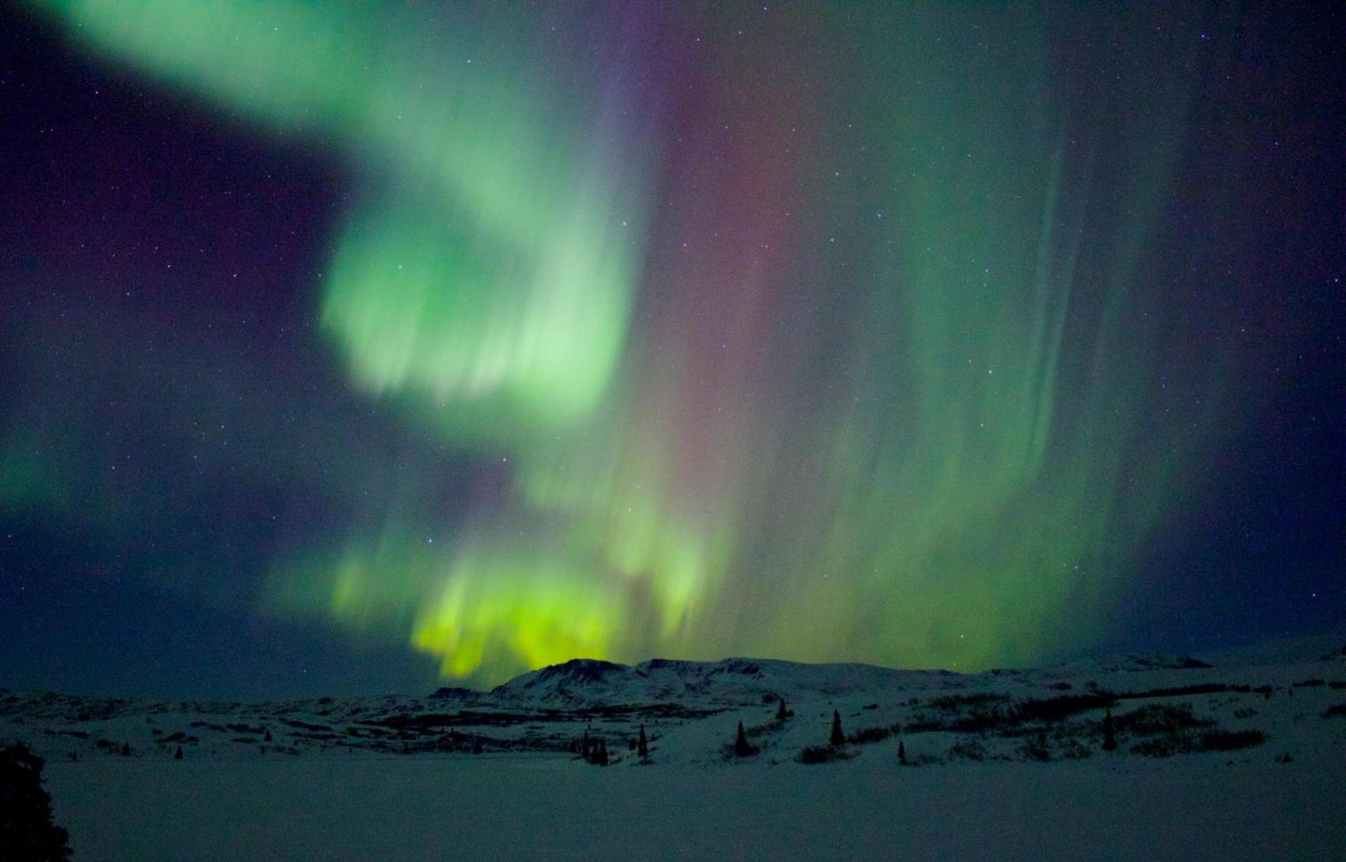 Caribou Lodge Alaska photo 23
