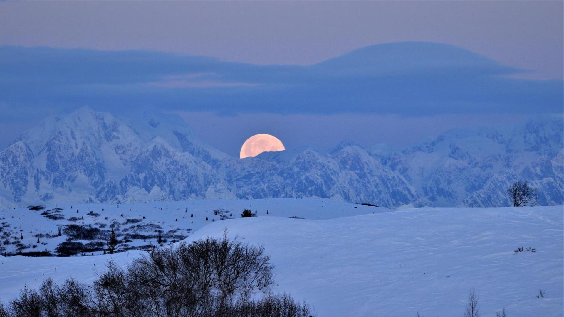 Caribou Lodge Alaska photo 26