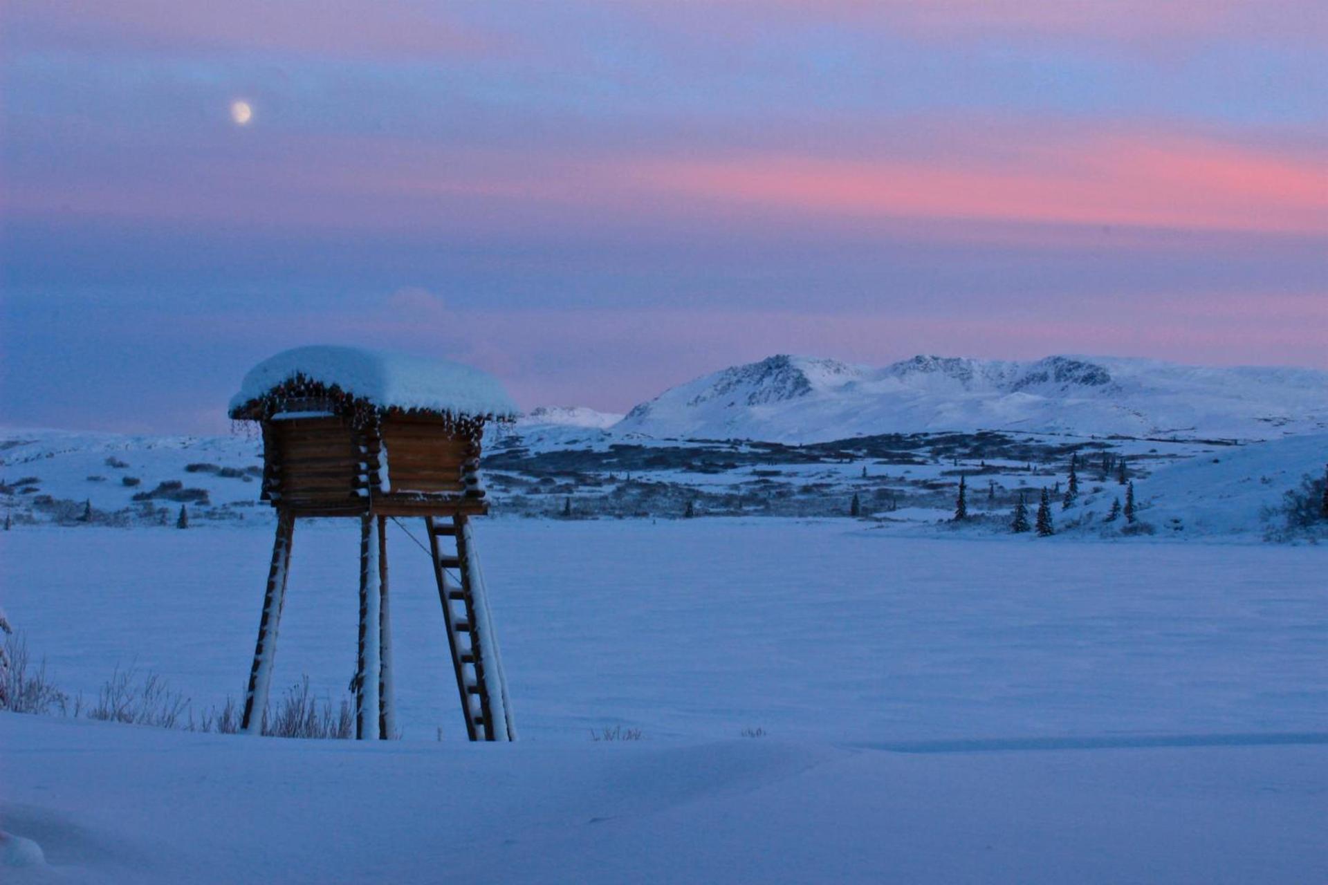 Caribou Lodge Alaska photo 29