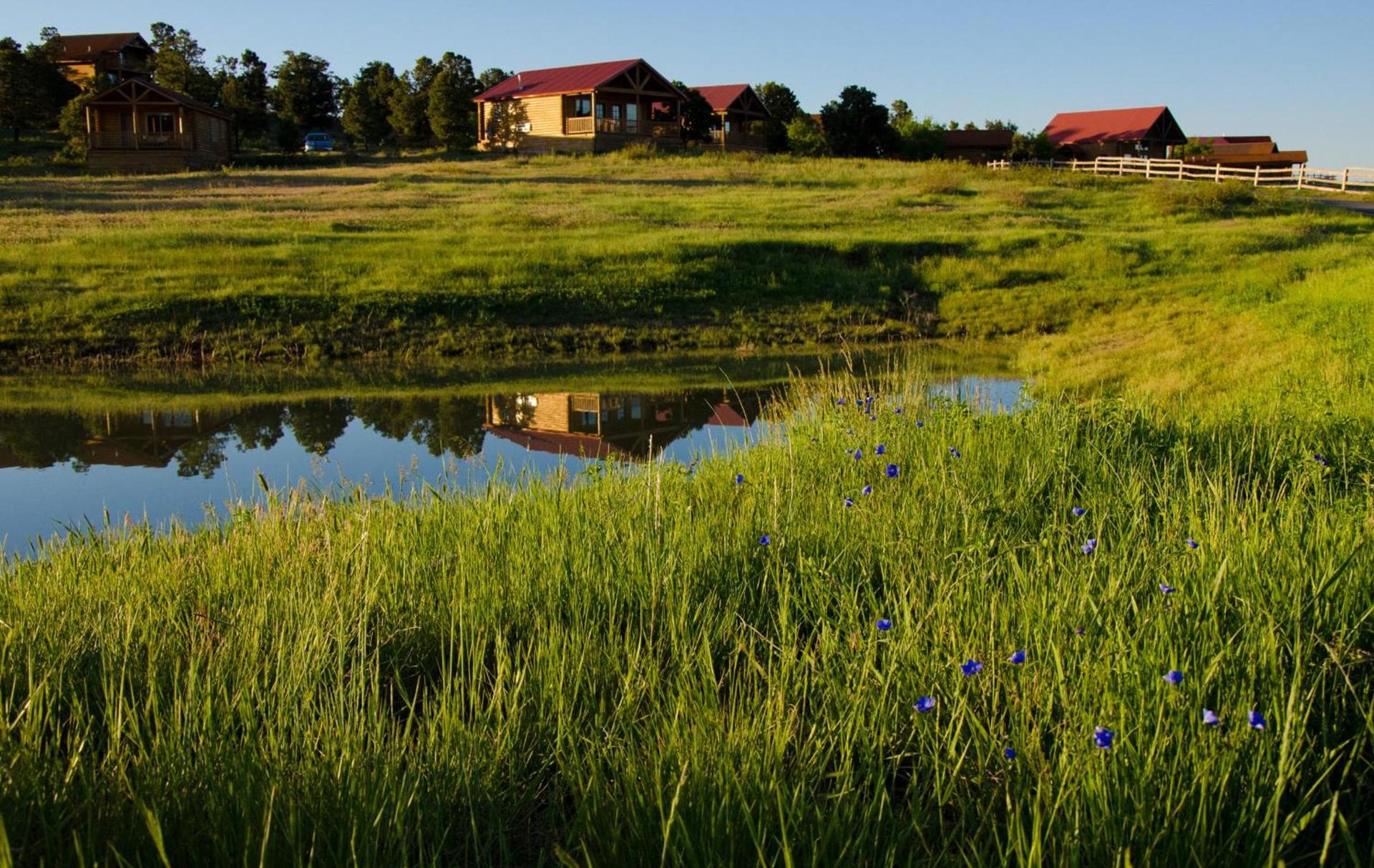 Zion Mountain Ranch photo 5