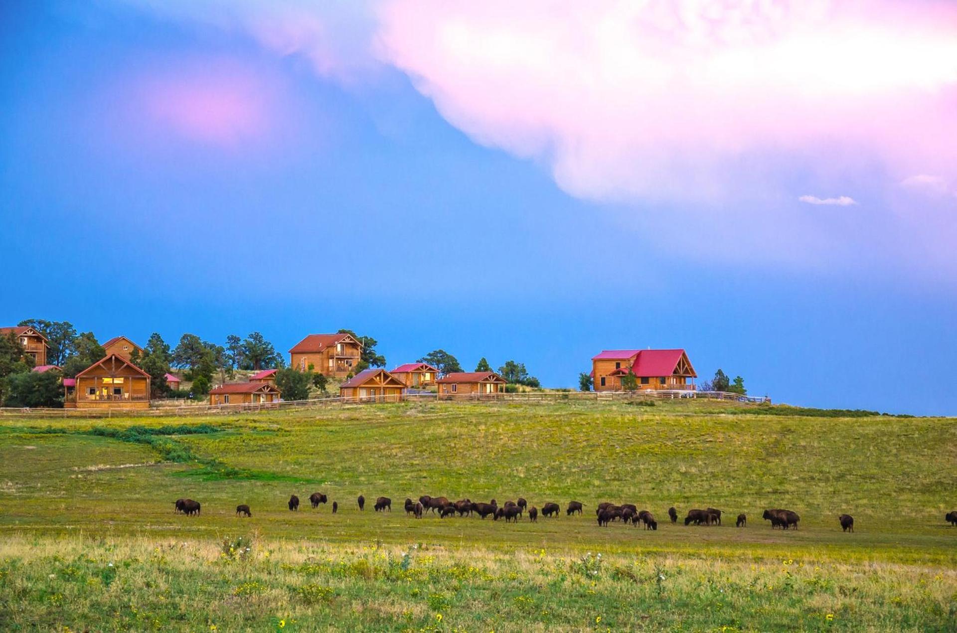 Zion Mountain Ranch photo 9