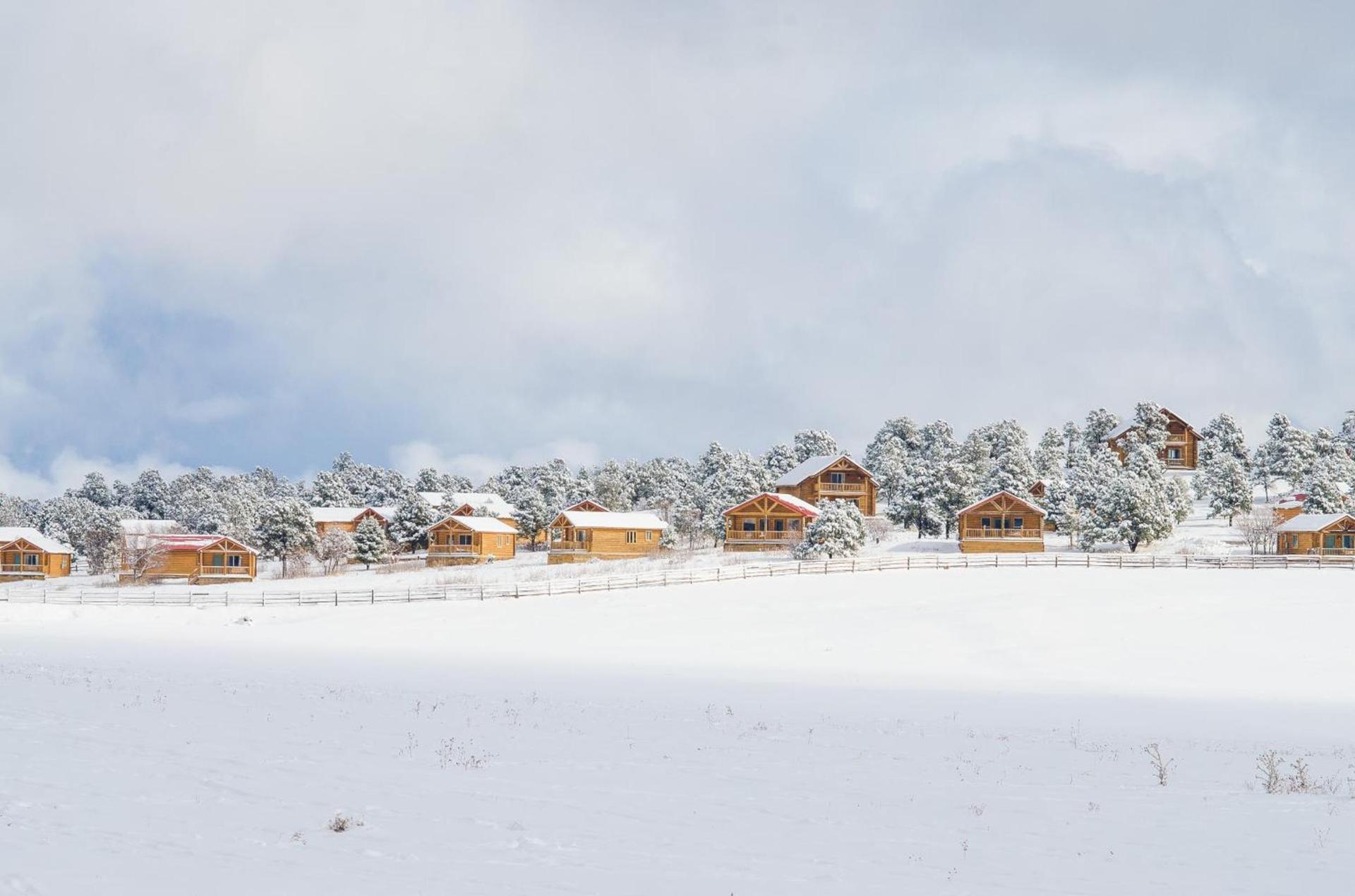 Zion Mountain Ranch photo 25