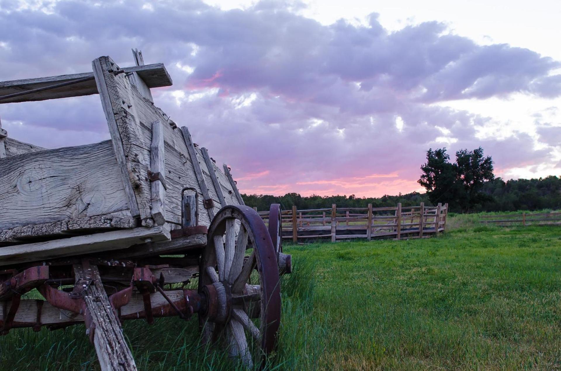 Zion Mountain Ranch photo 6