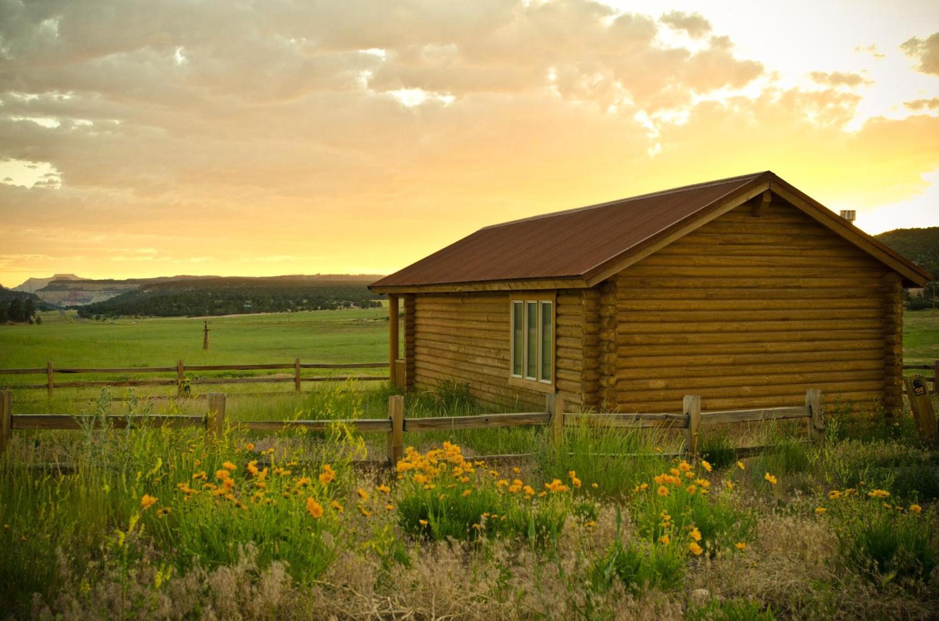 Zion Mountain Ranch photo 37