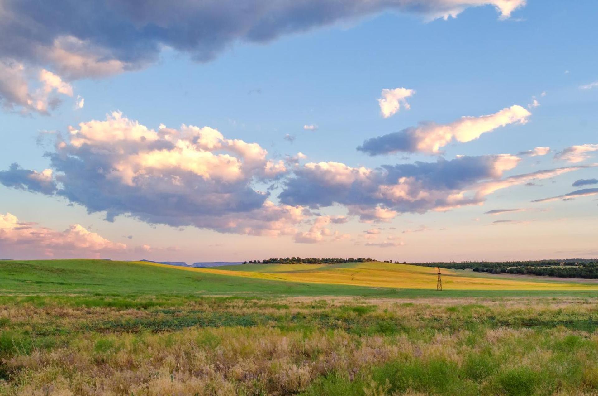 Zion Mountain Ranch photo 50