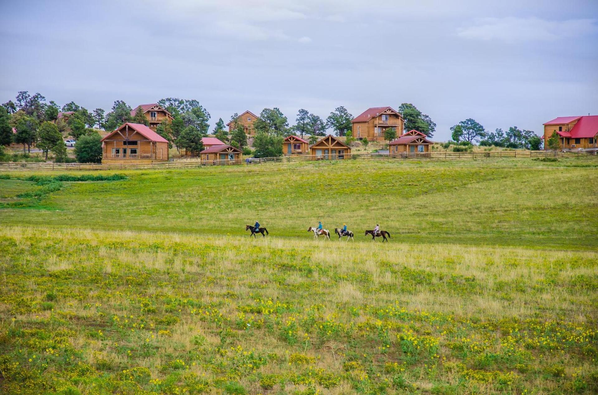 Zion Mountain Ranch photo 41
