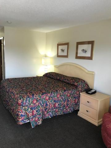 WESTERN MOTEL photo 19