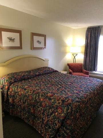 WESTERN MOTEL photo 16