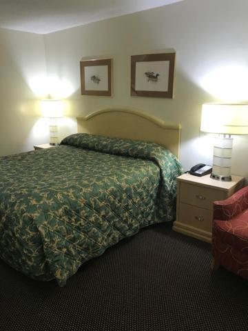 WESTERN MOTEL photo 12