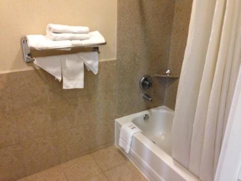 Executive Inn and Suites Houston photo 7