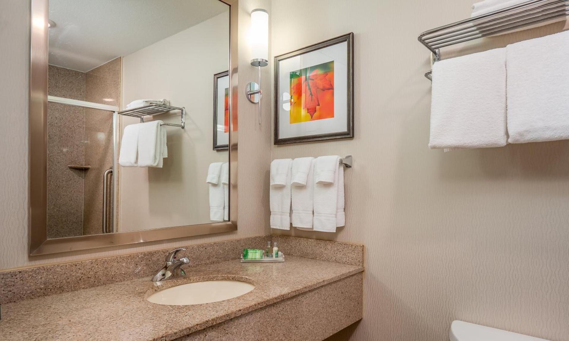 Holiday Inn Stevens Point - Convention Center by IHG photo 31