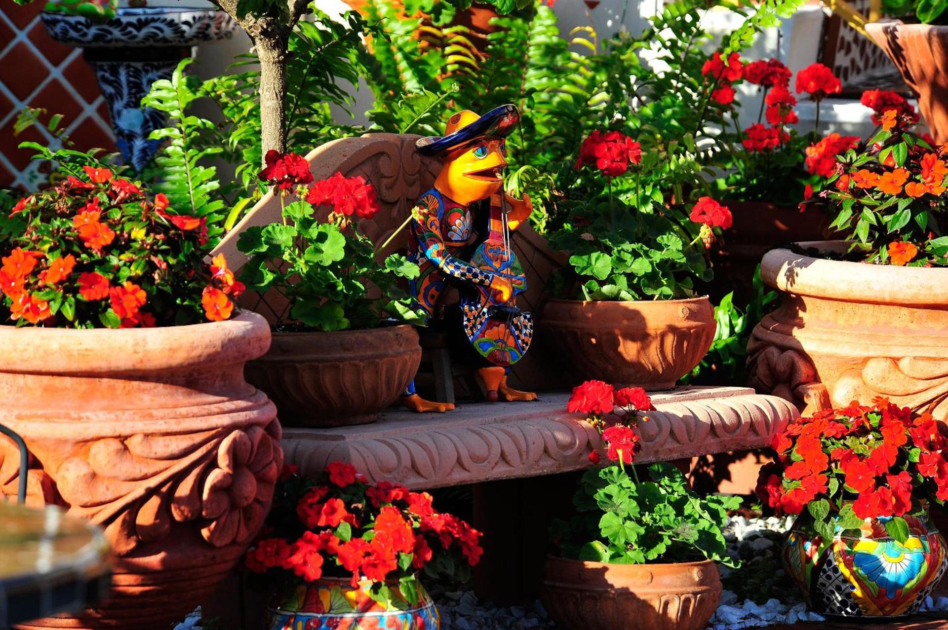 Blue Seas Courtyard photo 36