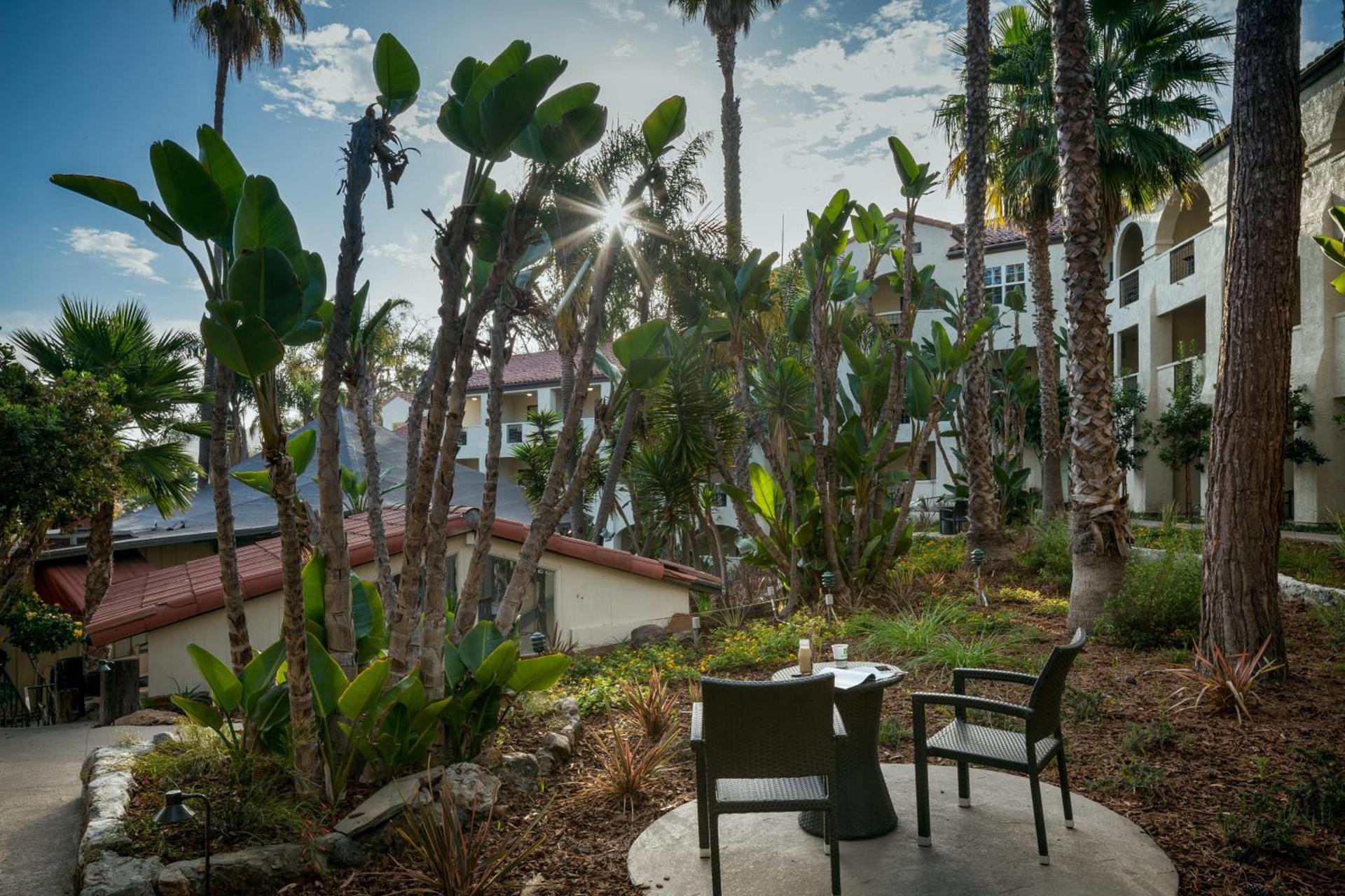 Catalina Canyon Inn photo 7
