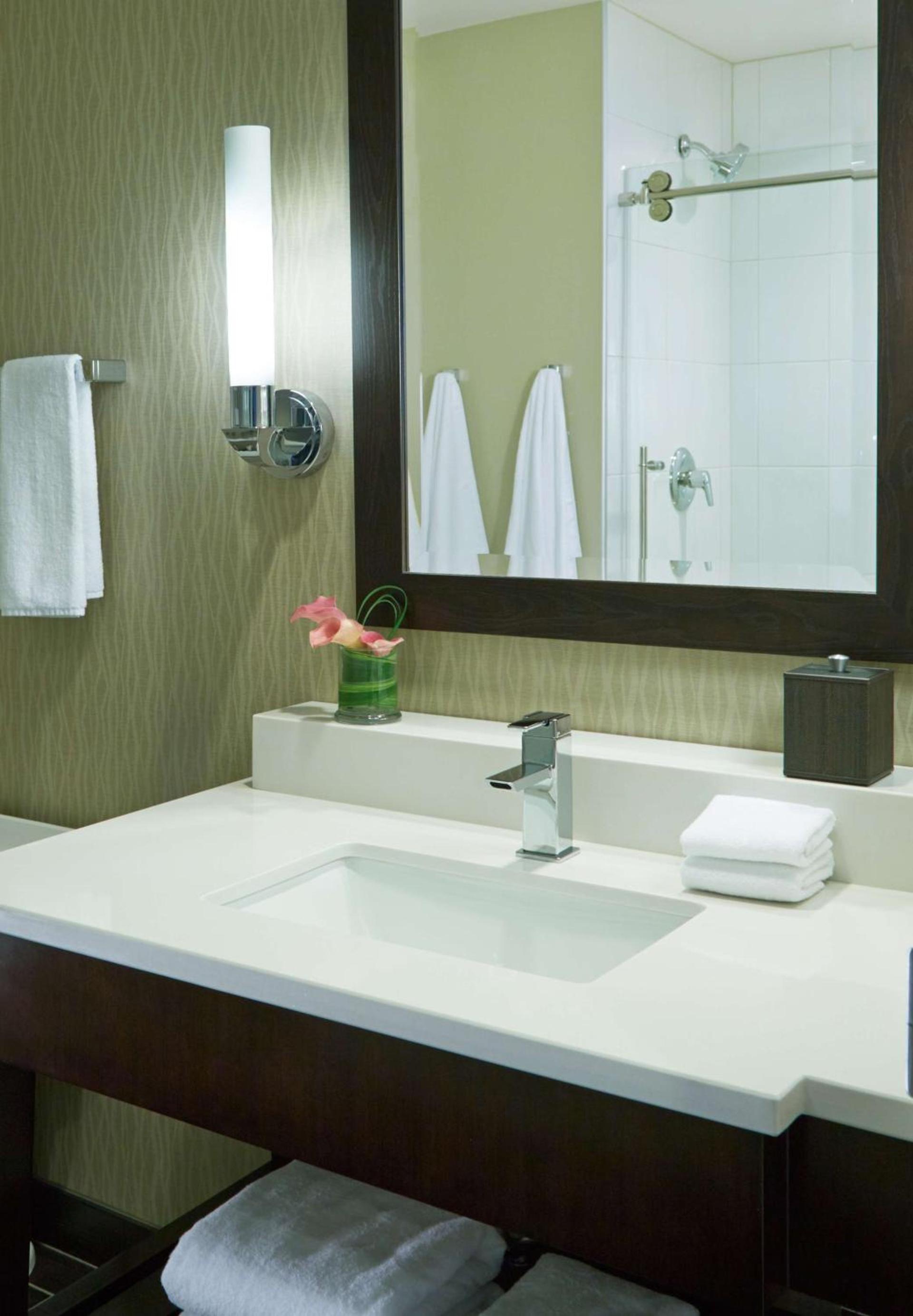 Hyatt Regency Atlanta Perimeter at Villa Christina photo 31