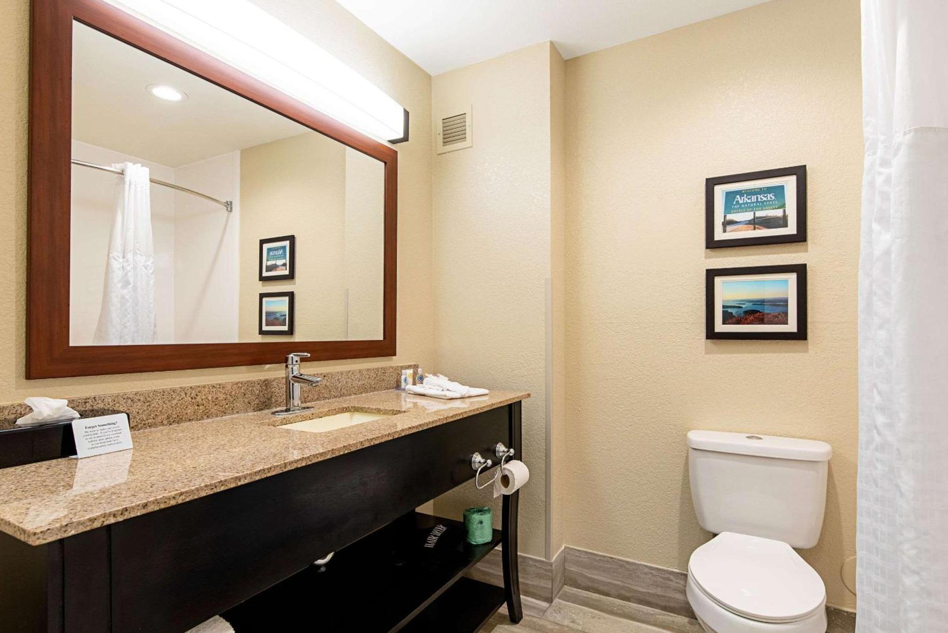 Comfort Inn & Suites Pine Bluff photo 18