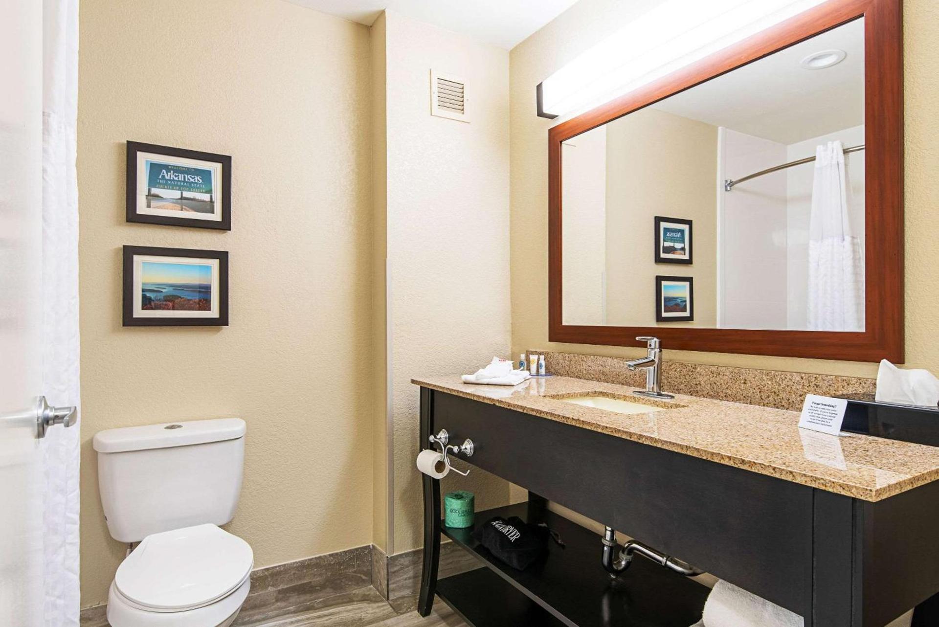 Comfort Inn & Suites Pine Bluff photo 19